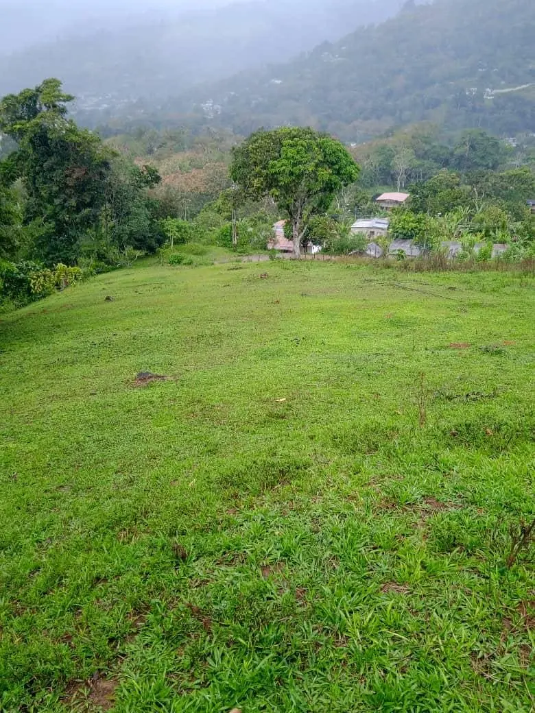 Terreno Caripe 2